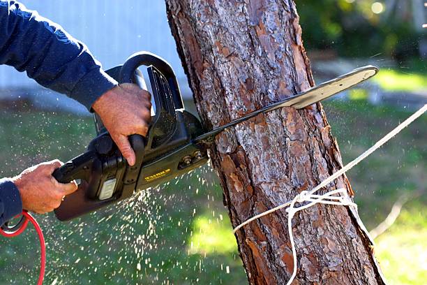 Lawn Irrigation Installation and Maintenance in Bowling Green, FL